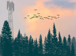 antenna tower silhouette in green forest at orange sky