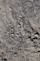 track in the sand