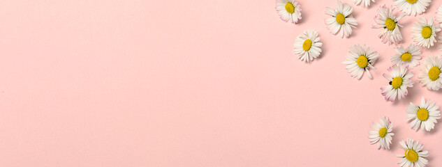 Natural reducing waste beauty on pastel pink background
