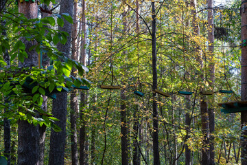 Children's a rope camp in the forest