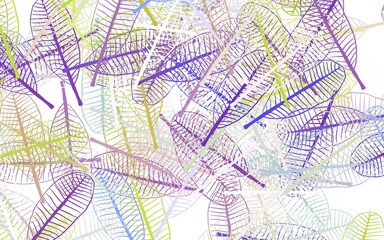 Light Multicolor vector doodle pattern with leaves.