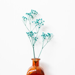 Vase of green baby's breath, gypsophila dry flowers on white background. top view, copy space