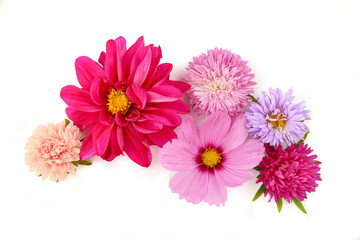 Mixed garden flowers isolated on white background. Colorful blossom of dahlia mignon, aster, cosmos...