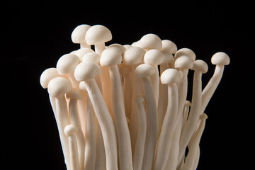 White beech mushrooms isolated on black background