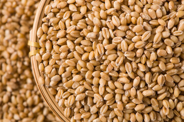 close up of raw wheat grain texture background