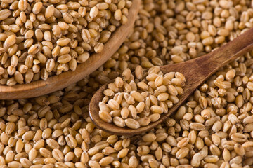 wheat grain in wooden spoon background