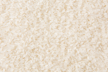 raw white rice textured background