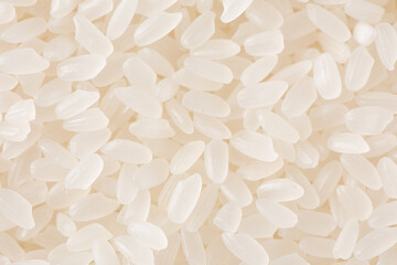 raw white rice textured background