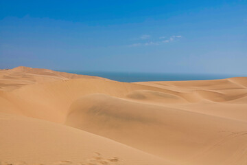 Fototapeta na wymiar Jeep tire marks. The Namib Desert on the Atlantic coast.