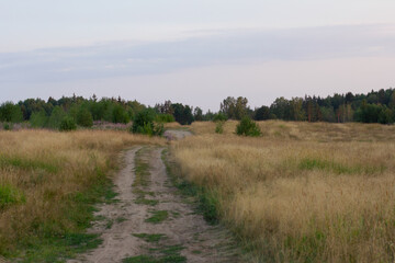 Fototapeta na wymiar path in the field