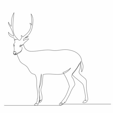 single continuous line drawing deer