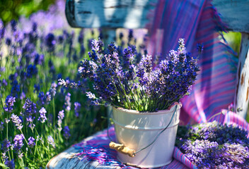 White vase with lavender bouquet on vintage chair, on lavender field background