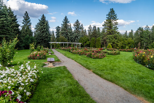 Rose Garden at Manito Park