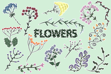 Vector hand drawn set of flowers. Spring blooming flower illustration. Flora design for logo, sticker, icon, banner, poster.