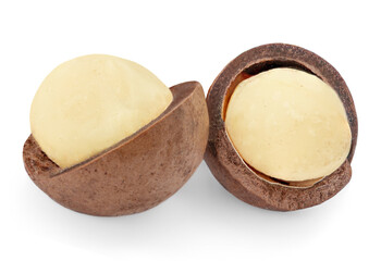 Isolated Macadamia nuts. Macadamia on white background.