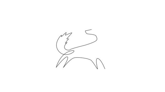 Animation of one single line draw cute fox company logo identity. City zoo icon concept. Continuous line self draw animated illustration. Full length motion.