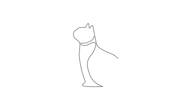 Animated self drawing of one continuous line draw simple cute cat kitten icon. Kitty mammals animal logo emblem vector concept. Full length single line animation illustration.