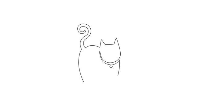 Animation of one single line drawing of simple cute cat kitten icon. Kitty pet shop logo emblem vector concept. Continuous line self draw animated illustration. Full length motion.