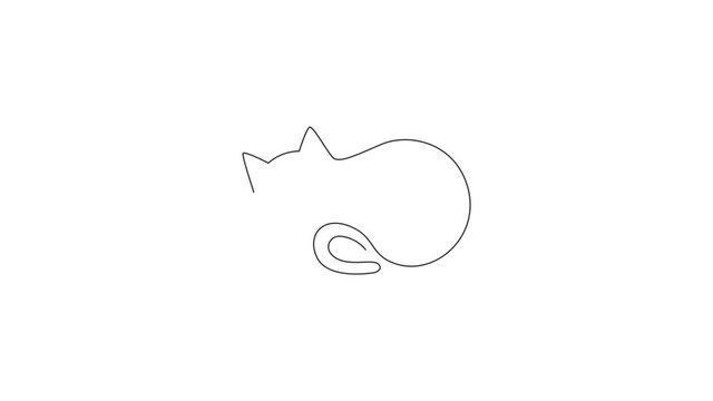 Animation of one single line drawing of simple cute cat kitten icon. Pet shop logo emblem vector concept. Continuous line self draw animated illustration. Full length motion.
