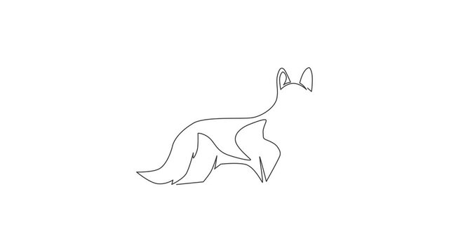 Animated self drawing of single continuous line draw simple cute siberian husky puppy dog icon. Pet animal logo emblem vector concept. Full length one line animation illustration.