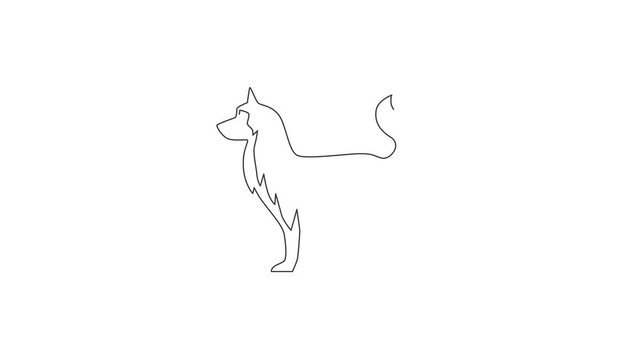 Animated self drawing of single continuous line draw simple cute siberian husky puppy dog icon. Pet animal logo emblem vector concept. Full length one line animation illustration.