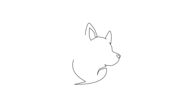 Animated self drawing of one continuous line draw simple cute siberian husky puppy dog head icon. Mammals animal logo emblem vector concept. Full length single line animation illustration.