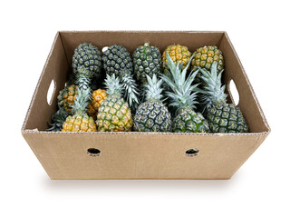 配送用段ボールに箱詰めされた名産品パイナップルの画像