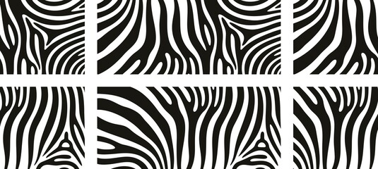 Fototapeta na wymiar Zebra texture logo. Isolated zebra texture on white background