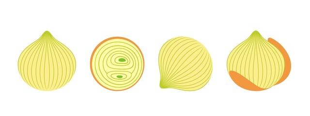 Onion logo. Isolated onion on white background