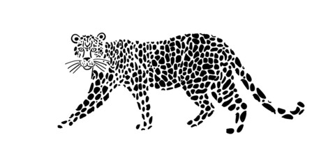 Big Wild Cat Art. Spotted Color for your design © Kudryashka