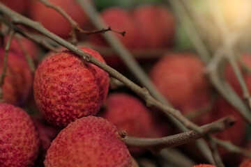 Closeup Lychee fruit (Litchi chinensis Sonn), Thai fruit Linchee  background.