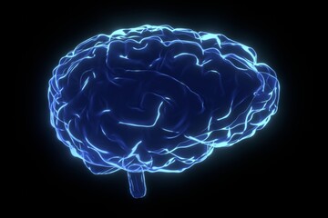 Human brain as x-ray illustration - 3D illustration