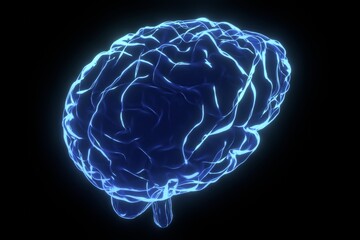 Human brain as x-ray illustration - 3D illustration