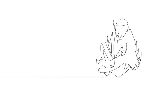 Animated self drawing of continuous line draw beauty Asian muslimah wearing burqa while holding her hand. Traditional beautiful Islamic woman niqab dress concept. Full length single line animation.