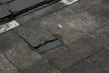 a close up photo of a side walk