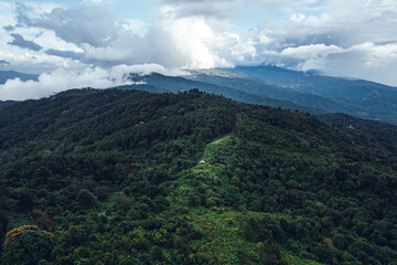Obraz premium Pine forest in the mountains in the morning from above