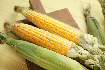Board with fresh corn cobs on color wooden background
