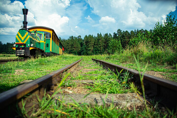 tourist railway in the forest
