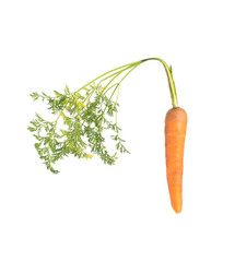 Orange carrots with green tops on a white background, isolate, close-up. Fresh and healthy vegetables concept