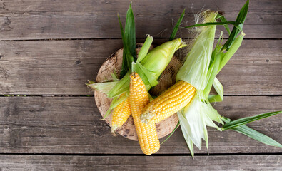 Natural cob of corn in husks on a wooden background. The concept of natural vegetables grown in their own garden, copy space for text
