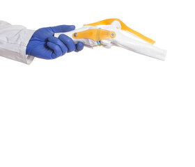 Doctor surgeon in medical gloves holds knee joint model on white background, isolate. Knee replacement concept, prosthetics, copy space for text