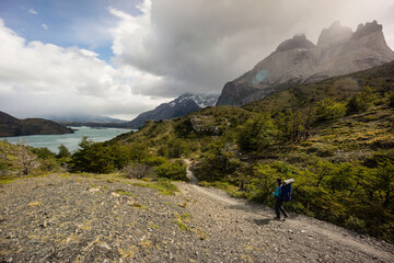 Fototapeta premium trekking W, Parque nacional Torres del Paine,Sistema Nacional de Áreas Silvestres Protegidas del Estado de Chile.Patagonia, República de Chile,América del Sur