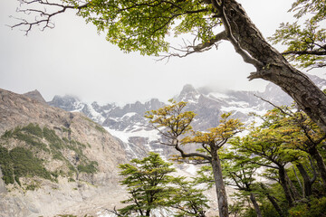glaciar del Frances, Valle del Frances, trekking W, Parque nacional Torres del Paine,Sistema Nacional de Áreas Silvestres Protegidas del Estado de Chile.Patagonia, República de Chile,América del Sur