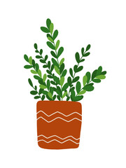 Hand drawn house plant clip art isolated on white background. Green leaves flower in a pot illustration. House plant clipart.