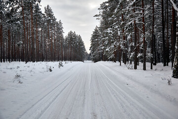 Snowy road in forest in winter