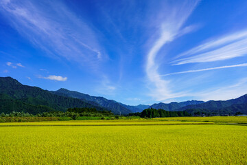 日本有数の米処、新潟県南魚沼市の秋の田園風景