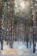 A winter pine forest. Sunlight shines through the tall, frozen trees covered in white snow. Frosty day. Digital watercolor painting.