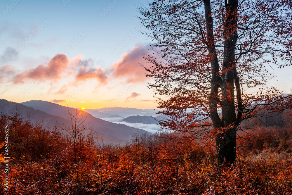 Poster sunrise in autumn mountains