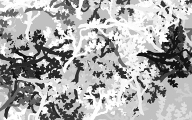 Light Gray vector abstract design with leaves, branches.