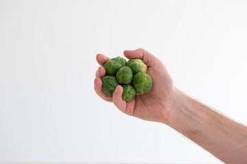Group of fresh raw Brussels sprouts held in hand by Caucasian male hand. Close up studio shot, isolated on white